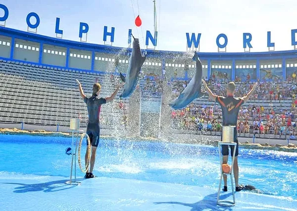 Delfin-Ausflug-Hurghada-siri-tours (8)