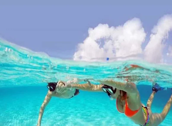 Abu Dabbab Schnorcheln Ausflug - Schwimmen Mit Schildkröten