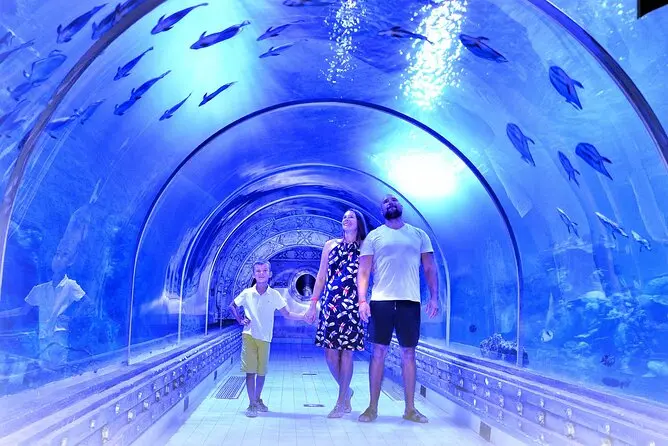 aquarium hurghada preise
