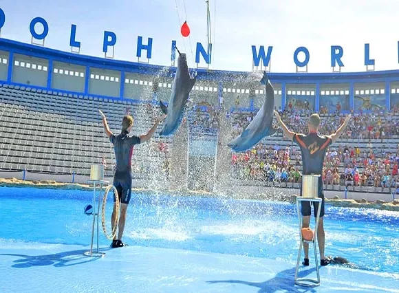 Delfin Show Hurghada - 2 Tage mit Übernachtung