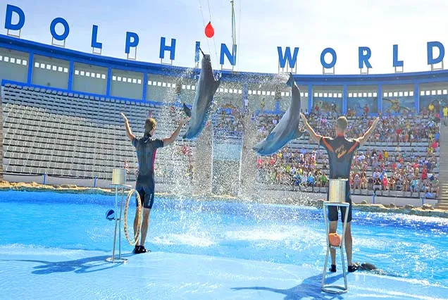 Delfin Show Hurghada - 2 Tage mit Übernachtung