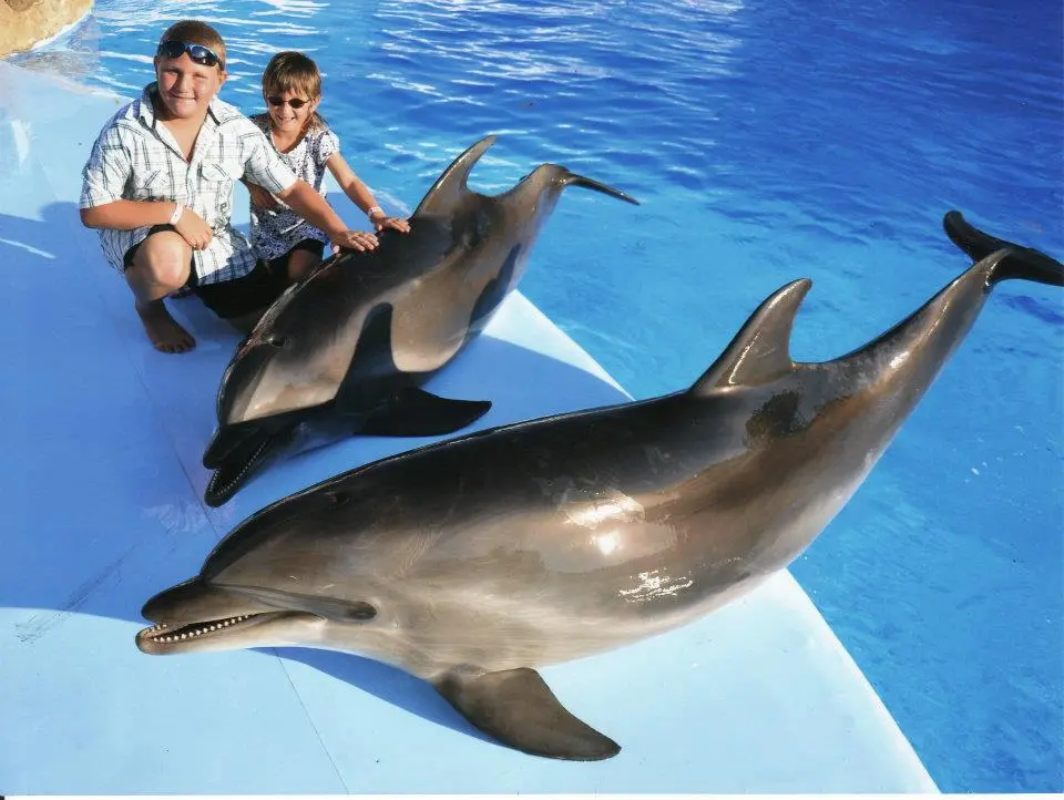 Delfinarium Hurghada Preise - urlaub ägypten 3