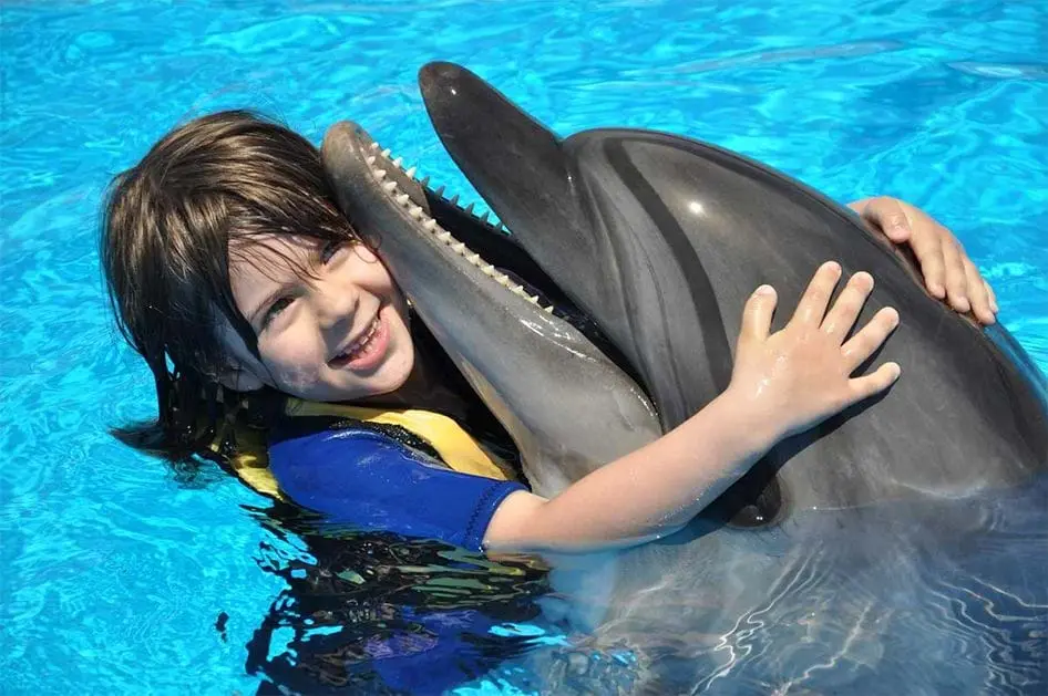 Delfinarium Hurghada Preise - urlaub ägypten 4