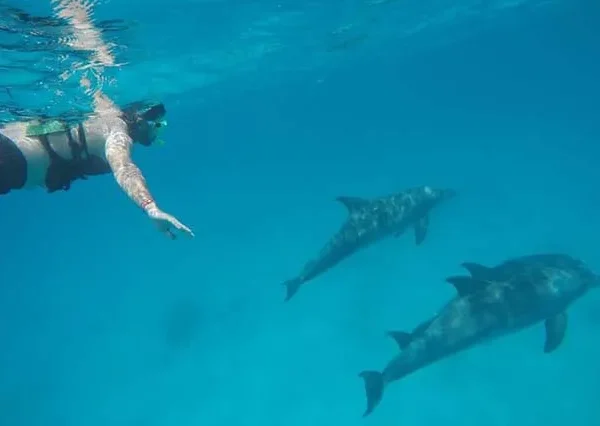 Delfinschwimmen-In-Hurghada-siri-tours (4)