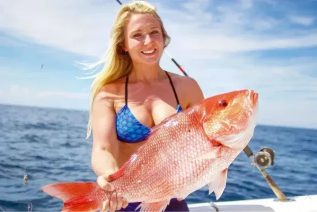 Der perfekte Traumort für Elite-Reisende im Jahr 1