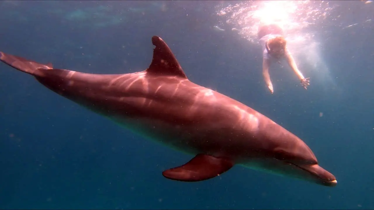 Erlebnis Ägypten VIP Ausflüge Preise - urlaub ägypten 1