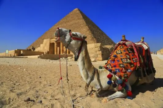 Erlebnis Ägypten VIP Ausflüge Preise - urlaub ägypten 4