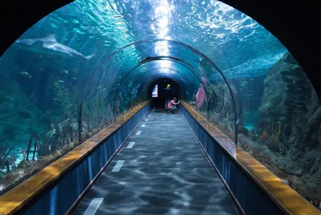 Grand Aquarium 4
