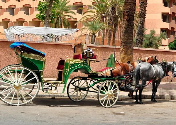 Heißluftballonfahrt-Luxor-siri-tours (11)