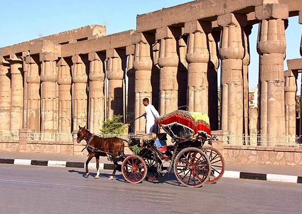 Heißluftballonfahrt-Luxor-siri-tours (12)