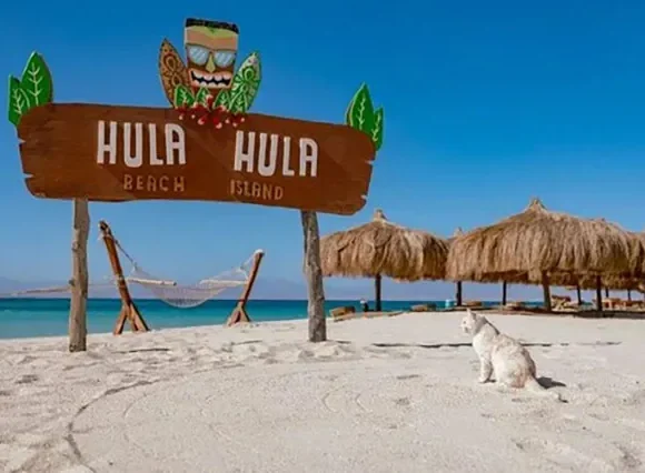 Hola Hola Hurghada - Schnorchelausflug