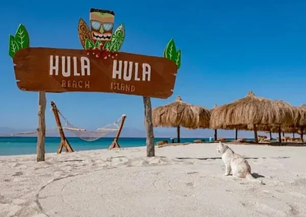 Hola-Hola-Hurghada-siri-tours (1)