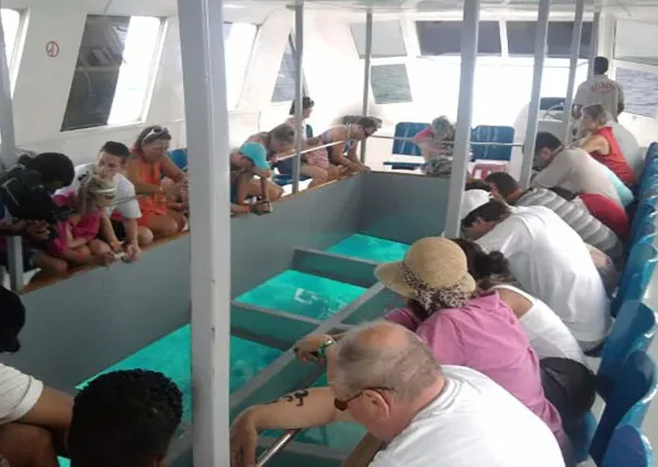 Hurghada-Glasbodenboot-siri-tours (3)
