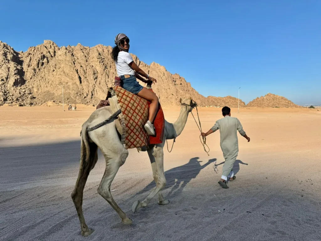 Hurghada Kamelreiten Preise