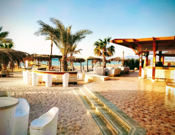 Orca Dive Club Soma Bay preise