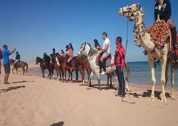 Pferde-Reiten-Hurghada-siri-tours (6)