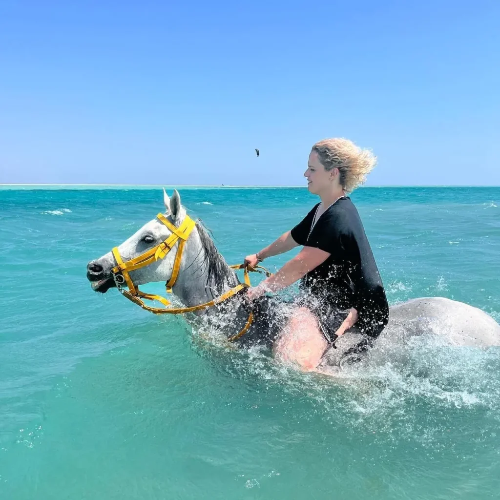 Reiten Hurghada Preise - urlaub ägypten 3