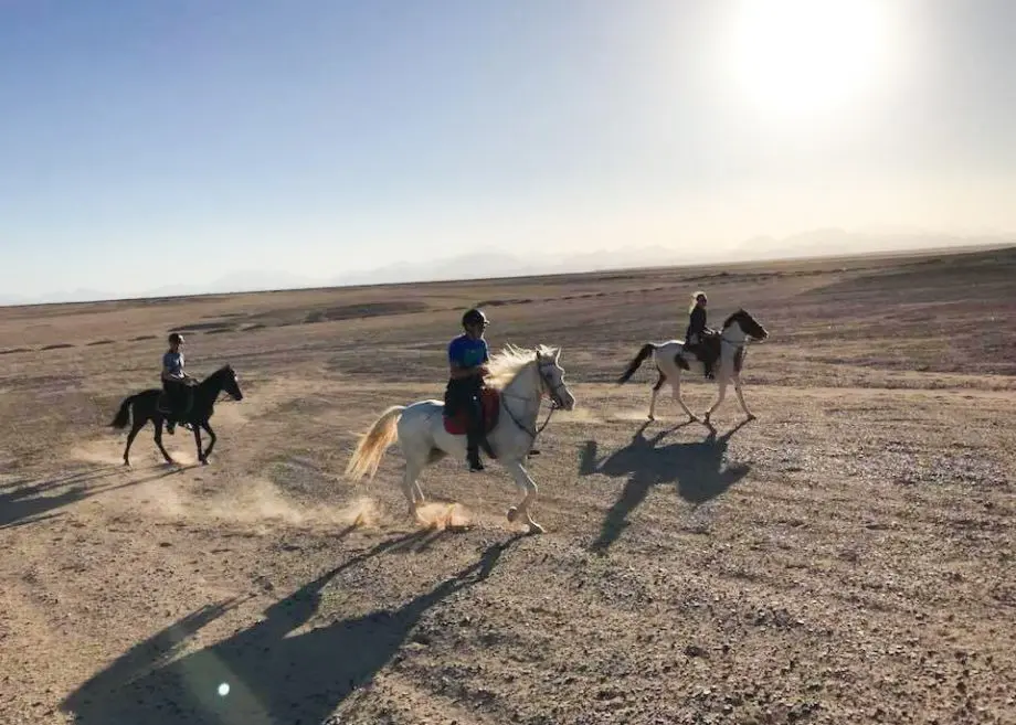 Reiten Hurghada Preise - urlaub ägypten 4