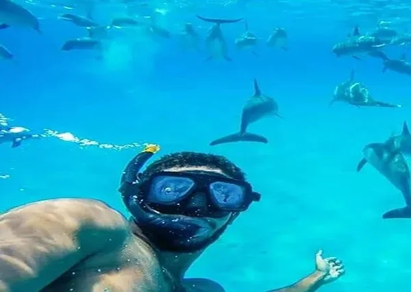 Schnorcheln-Mit-Delfinen-Hurghada-siri-tours (3)