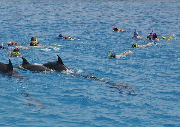 Schnorcheln-Mit-Delfinen-Hurghada-siri-tours (5)