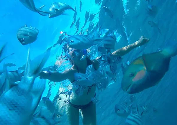 Schnorcheln-Mit-Delfinen-Hurghada-siri-tours (6)