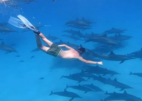 Schnorcheln-Mit-Delfinen-Hurghada-siri-tours (7)