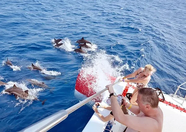 Schnorcheln-Mit-Delfinen-Hurghada-siri-tours (8)