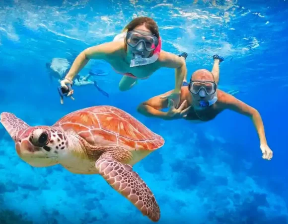 Sehenswürdigkeiten Marsa Alam – Top 10 Marsa Alam Sightseeing