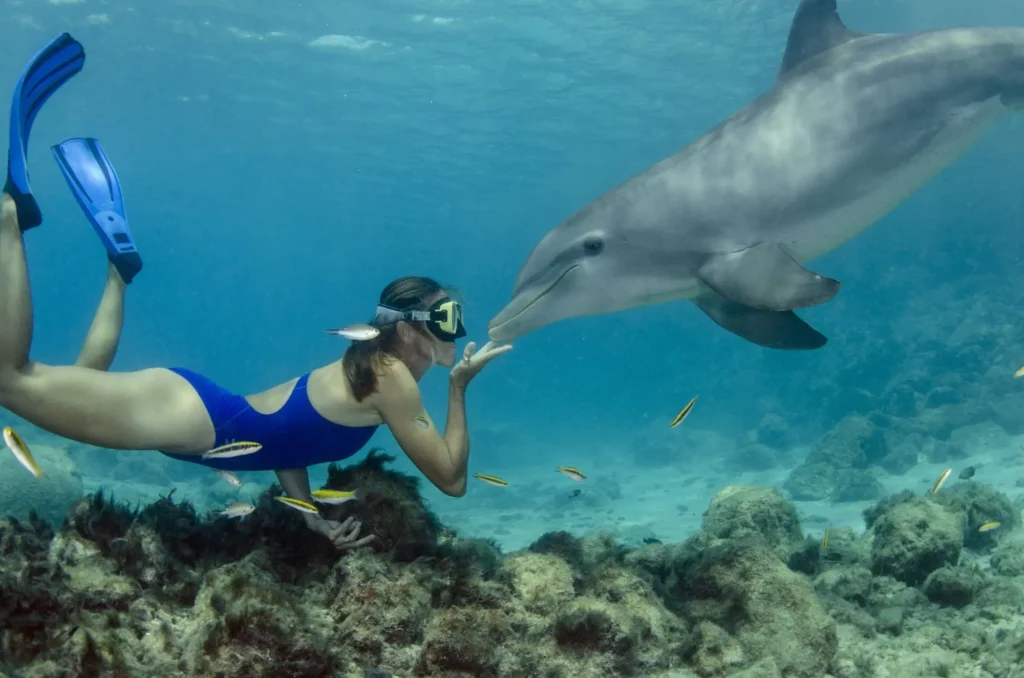 Sha'ab Samadai Dolphin Reef marsa alam Sehenswürdigkeiten Marsa Alam urlaubägypten