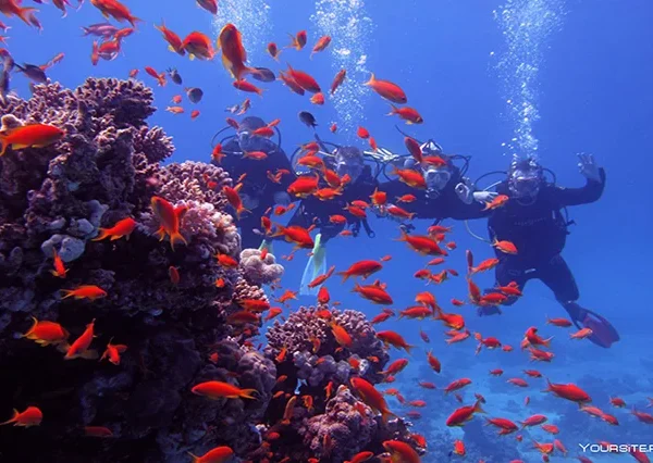 Sharm El Naga Schnorcheln (7)