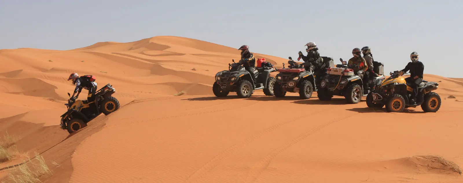 hurghada quad tour preise